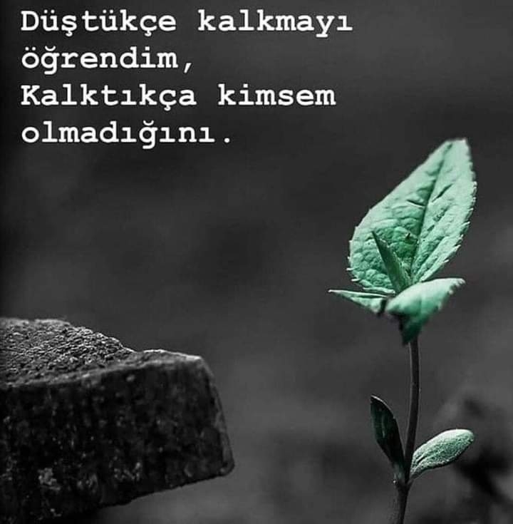 Ceyhan