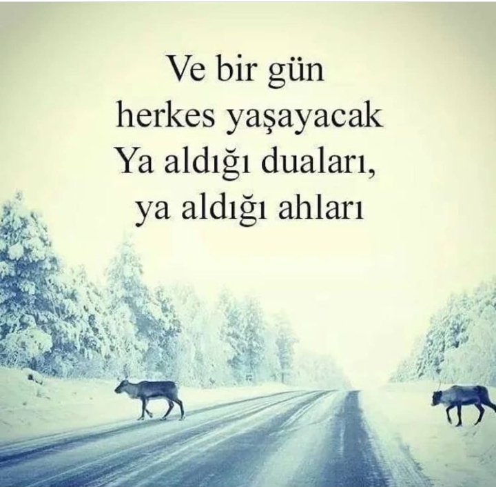 İlhan