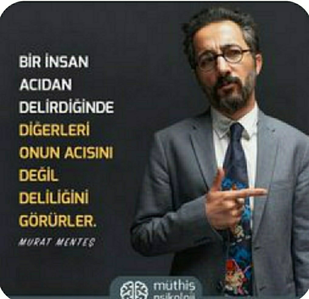 ŞEHRİZADE