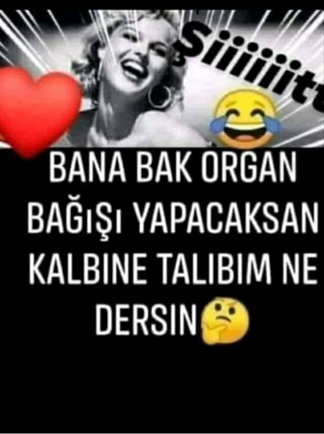 Melek