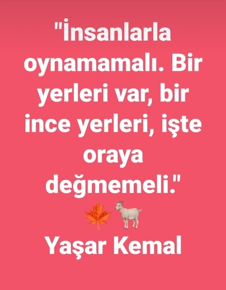 Yavuz
