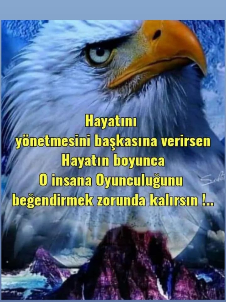 ÜLkü