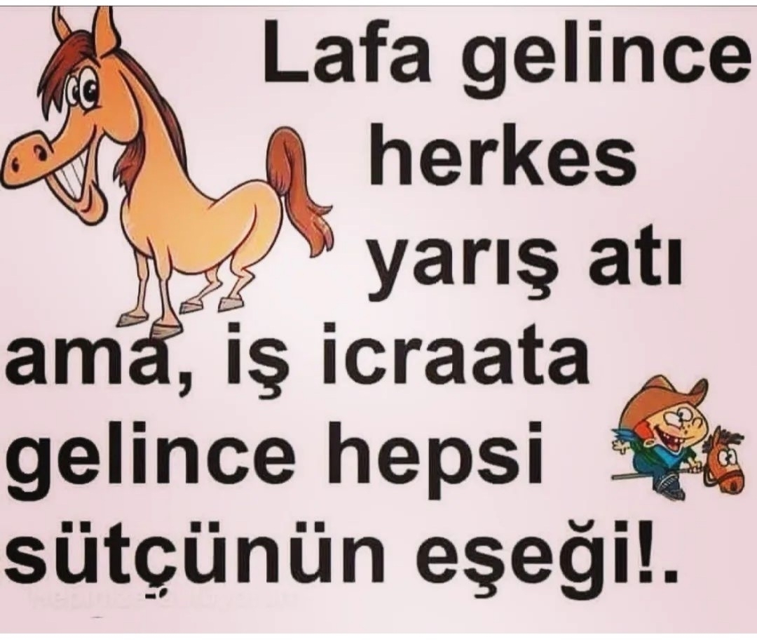 Aynur