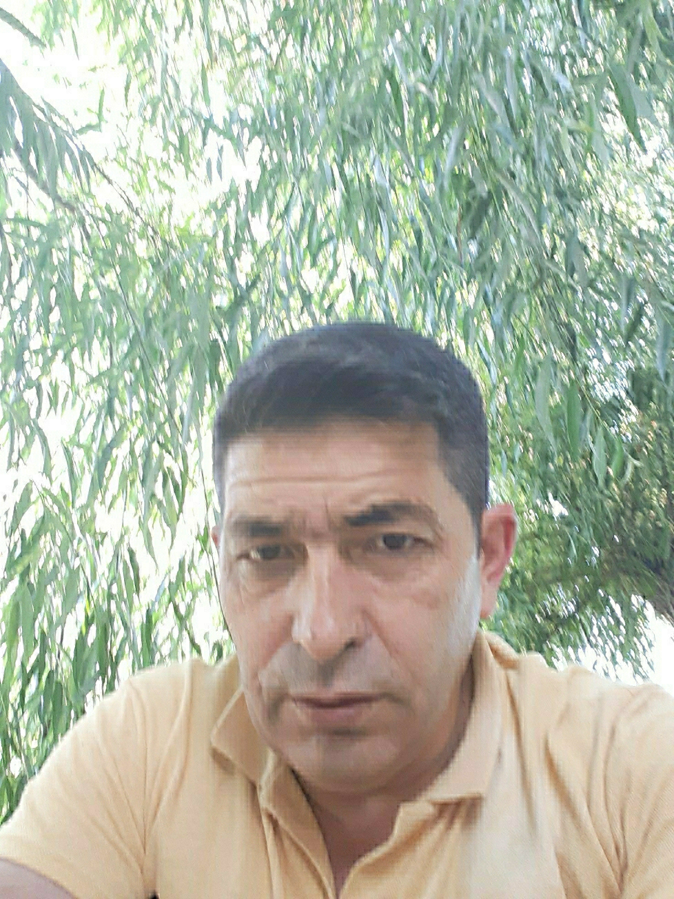 Mahmut