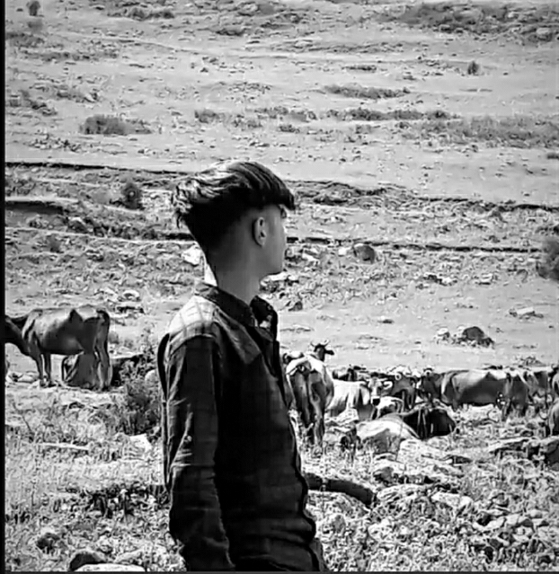 Tarık