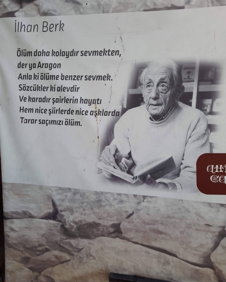 Doğan