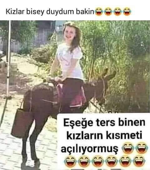 Serdar