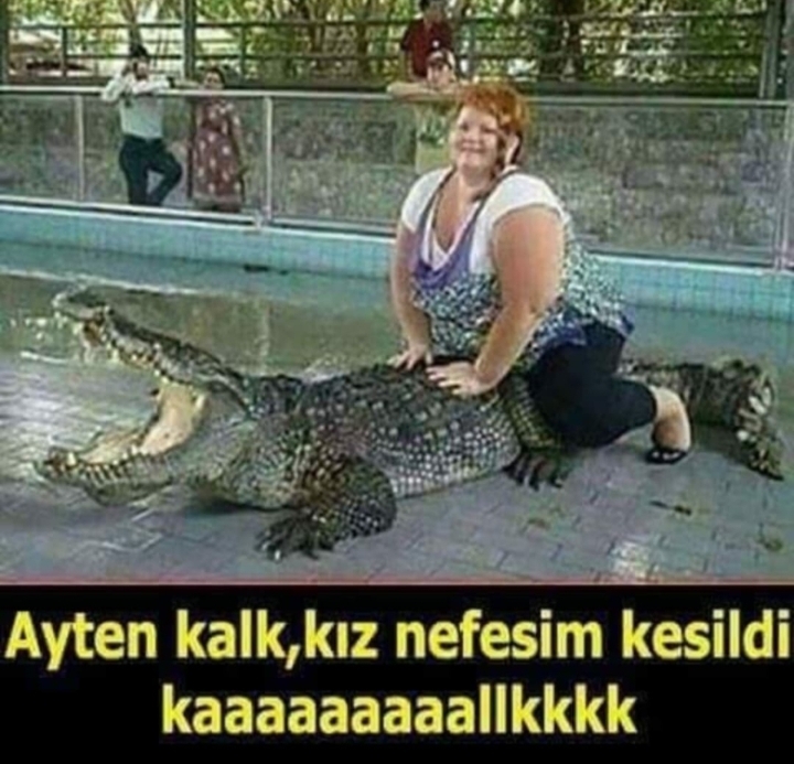 Serdar