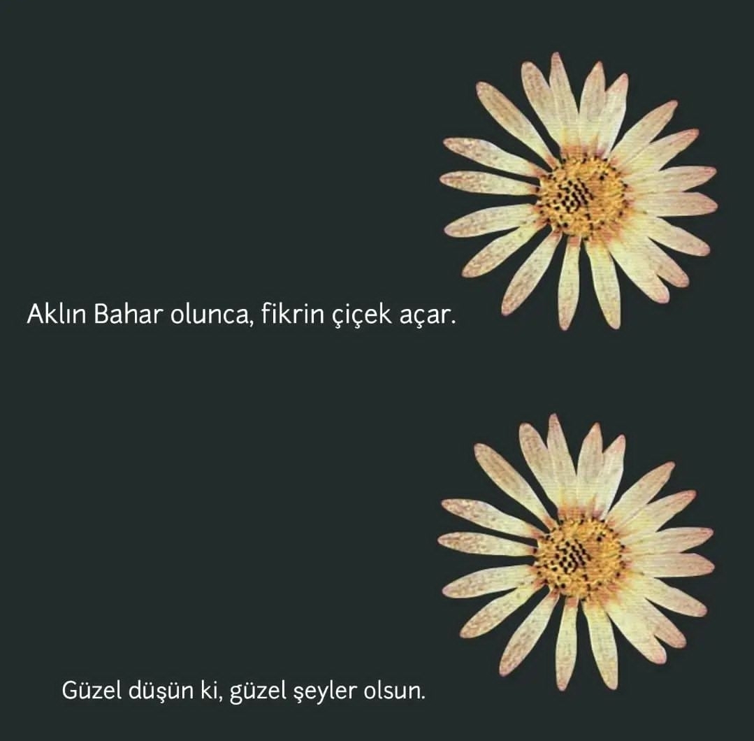 Uğur