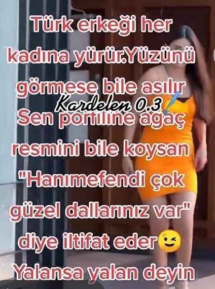 Aynur