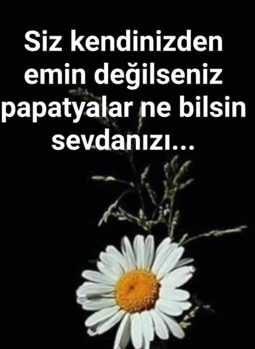 Seval