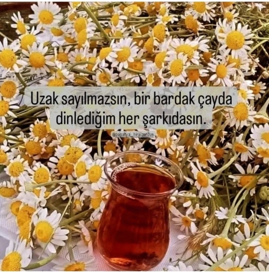 Uğur