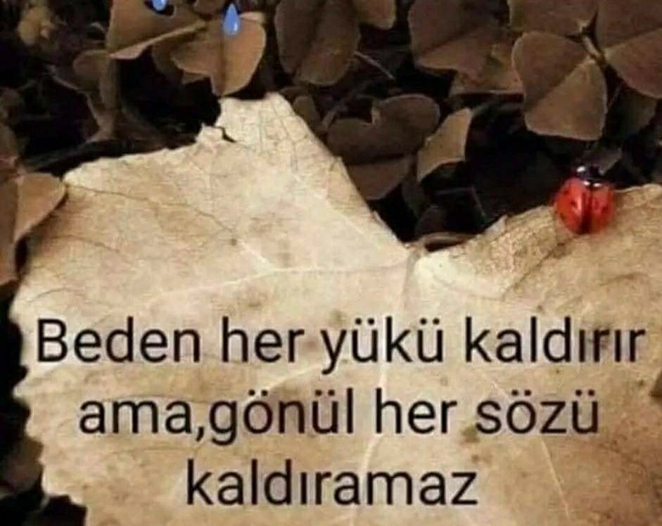 Ssüleyman