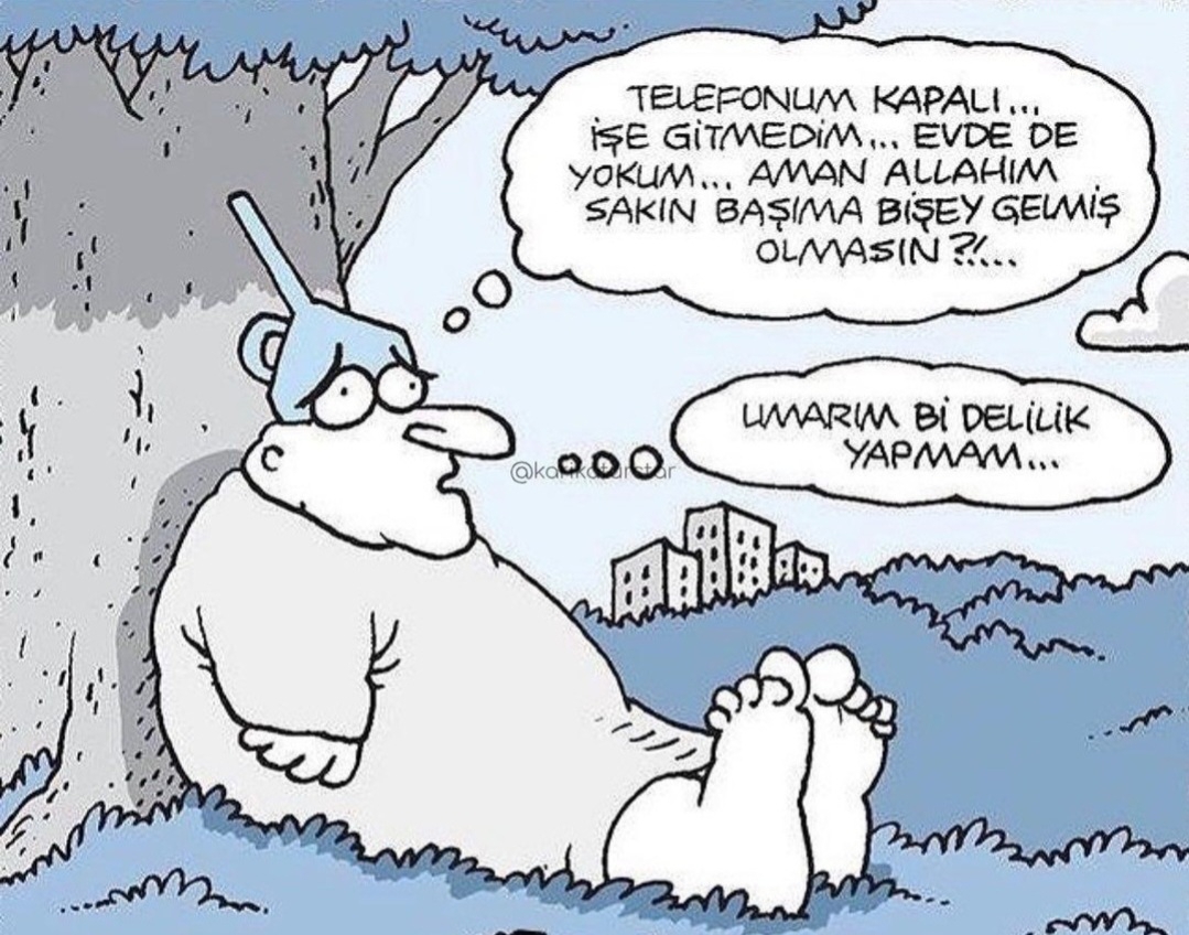 T C Yıldız