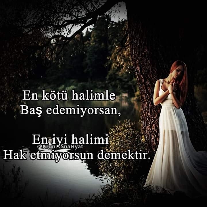 Şaziment