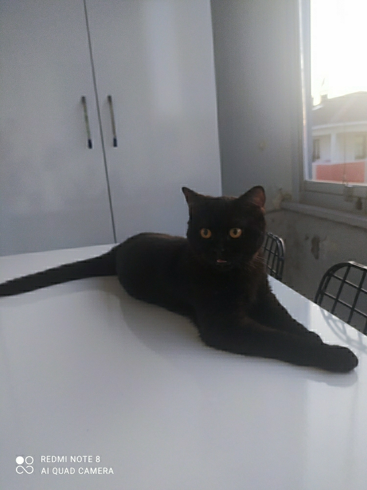 Alina
