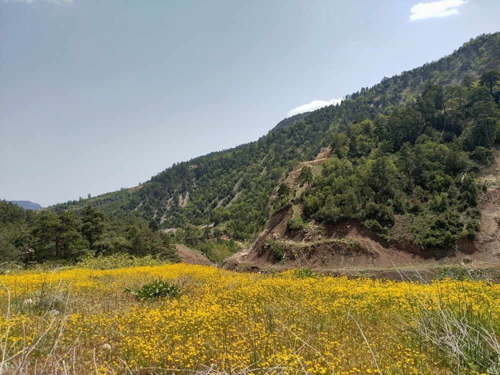 Hüseyin