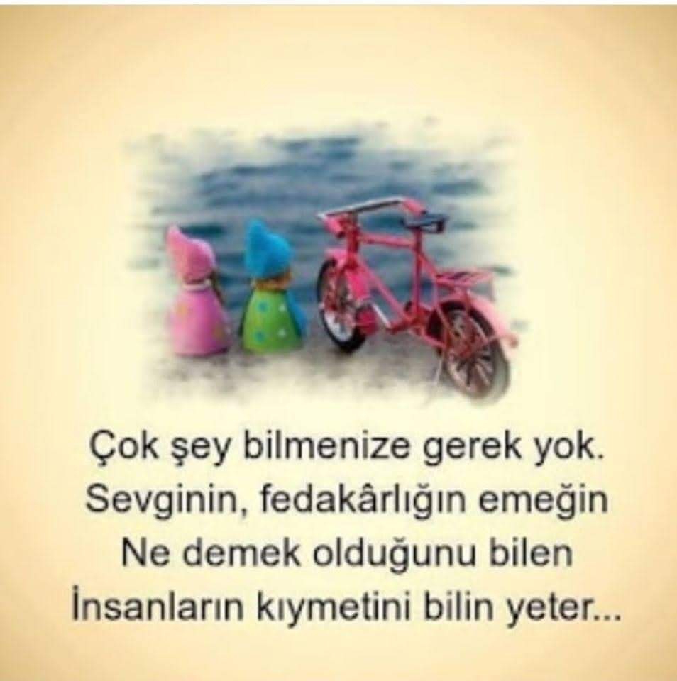 Gazel