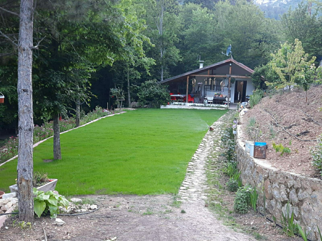 Cüneyt