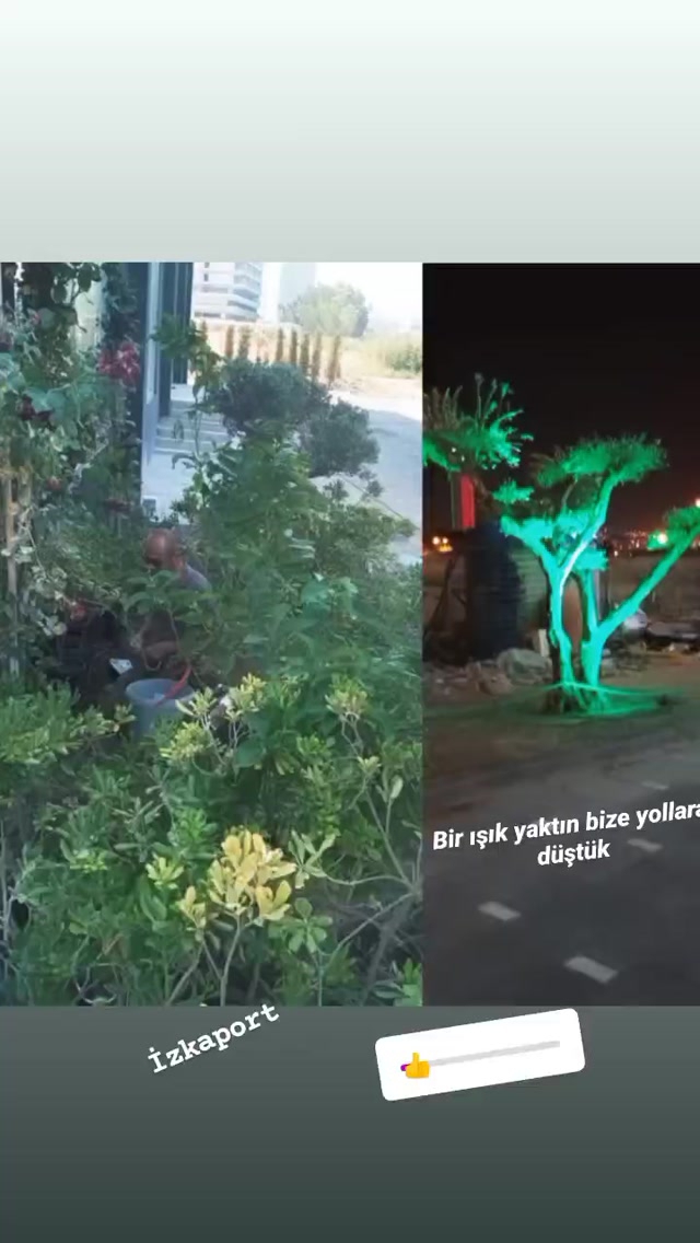 Ümit