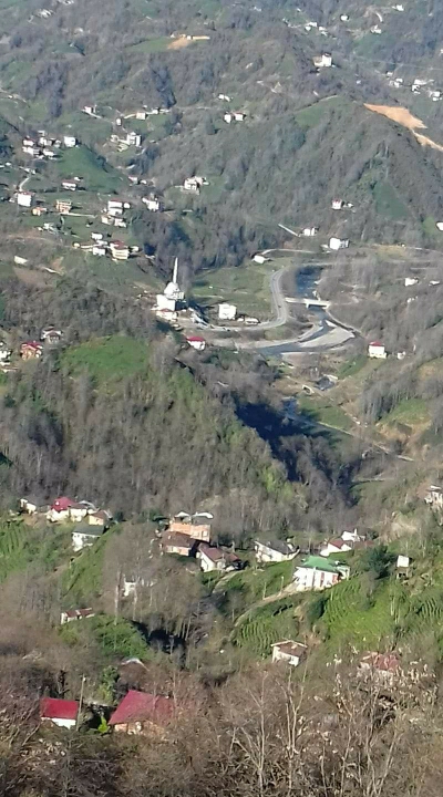 Bunyamın