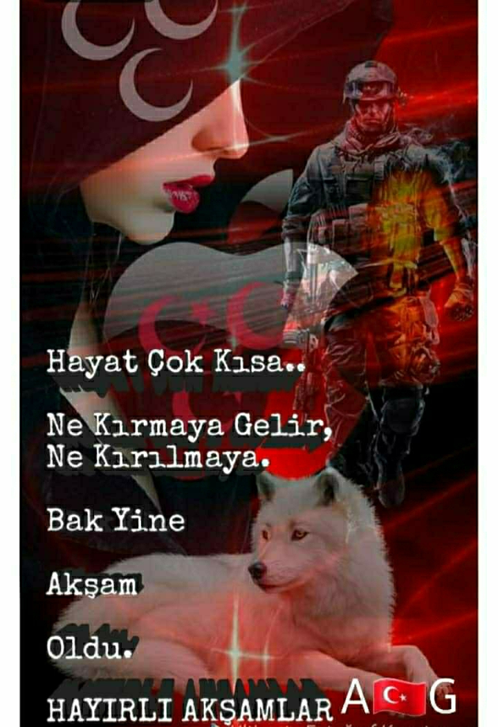 Aysun