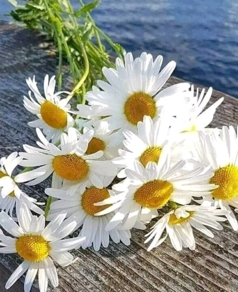 Uğur