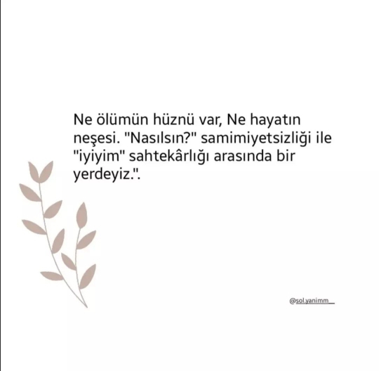 Nur