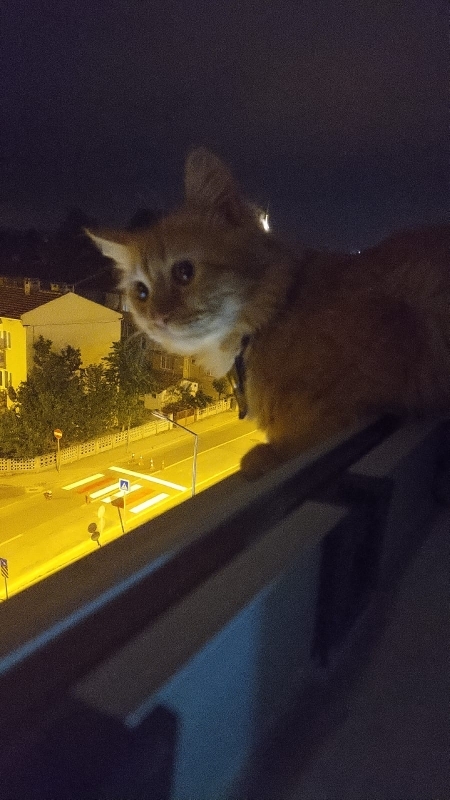 Beyhan