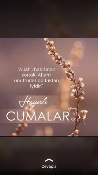 Derya