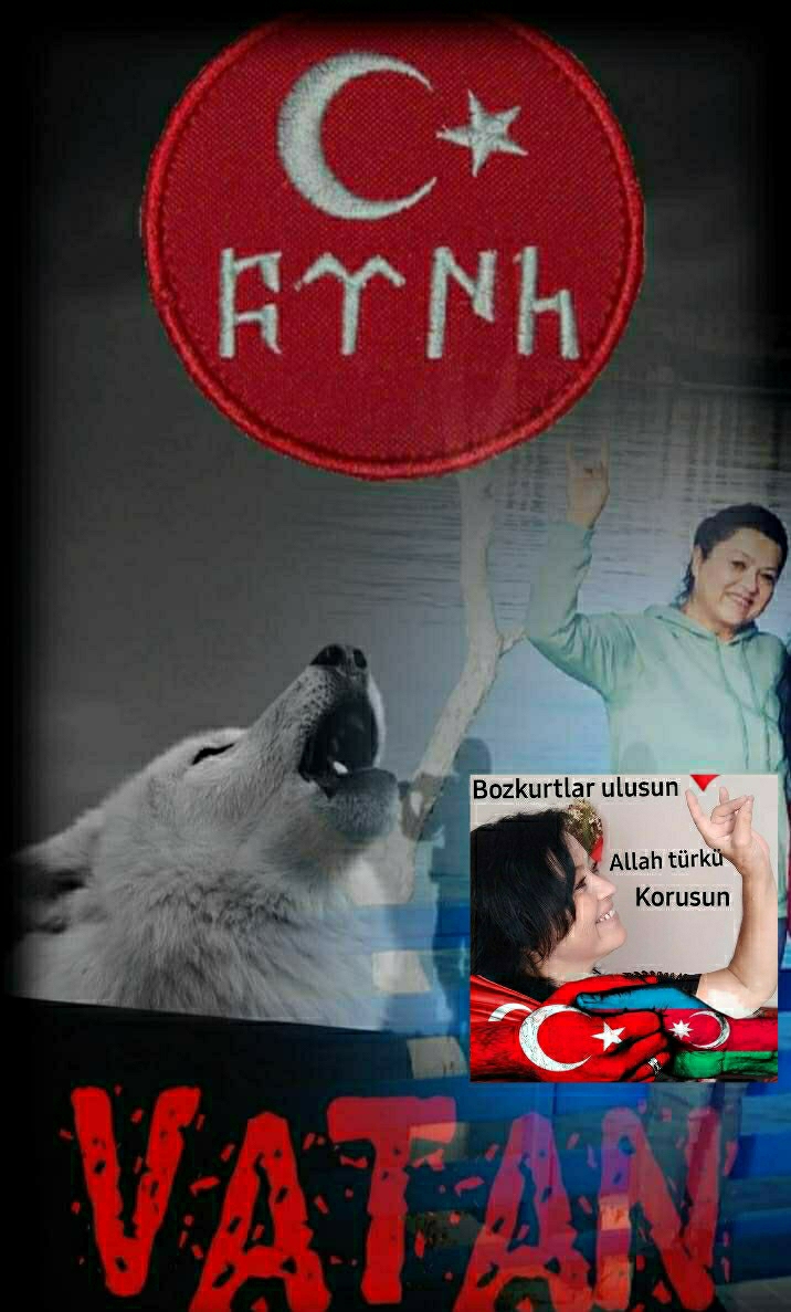 Aysun