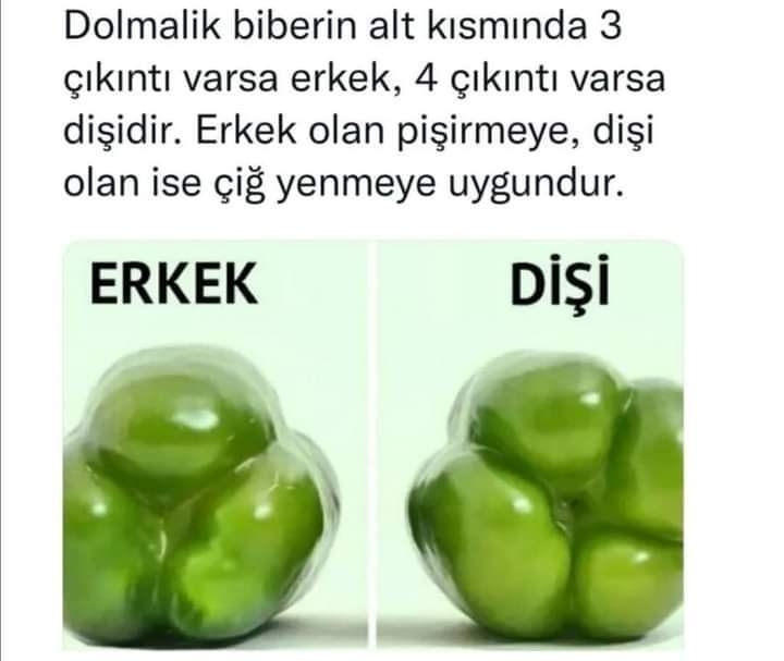 Uğur