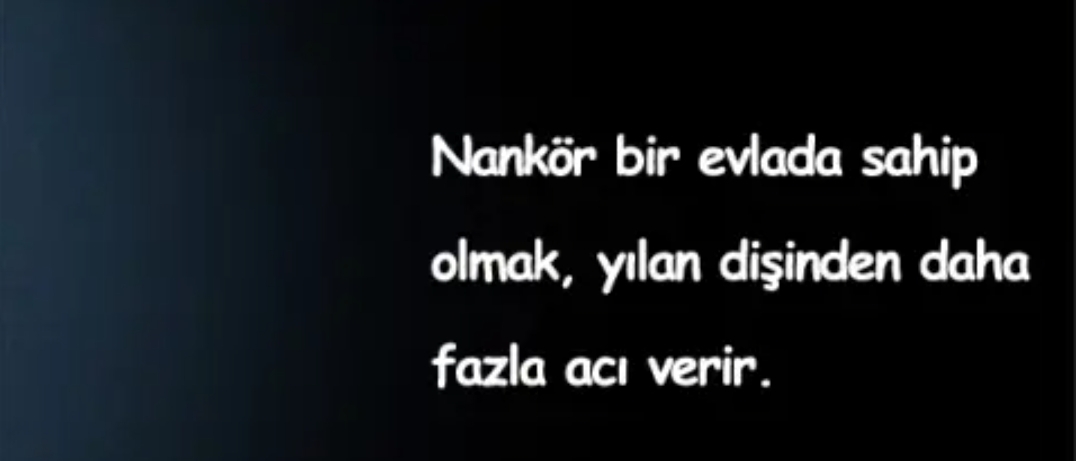 Nur