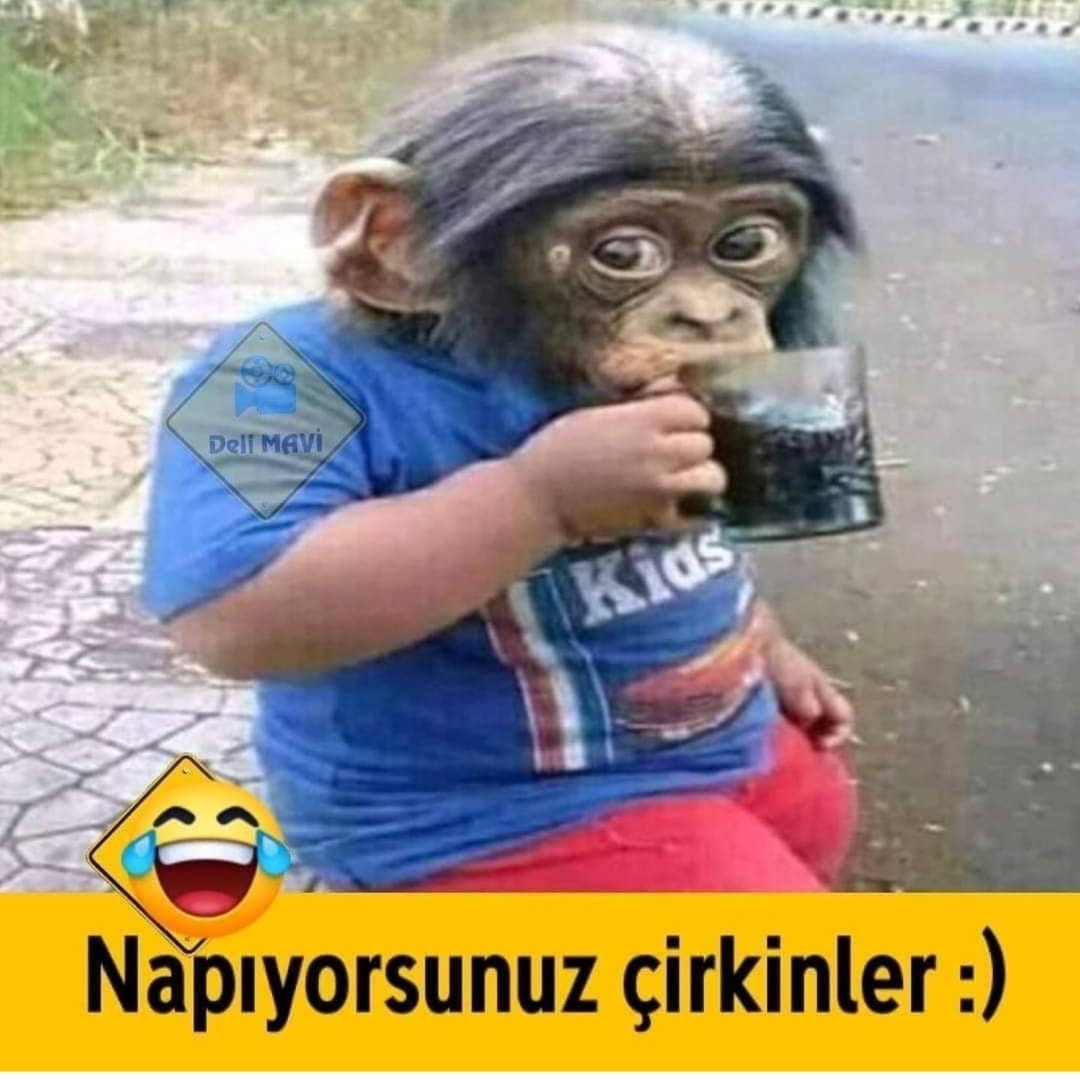 Serdar