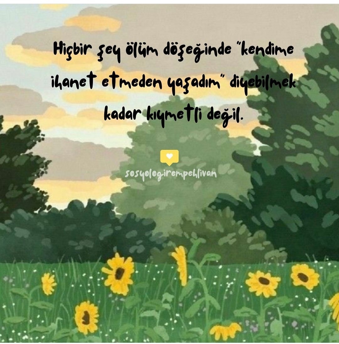 T C Yıldız