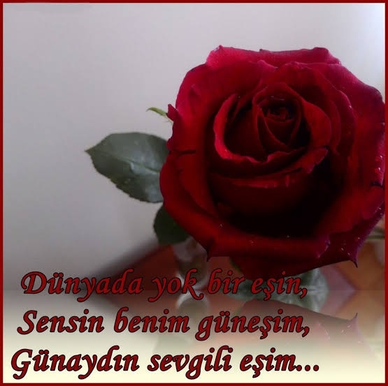 Saadet