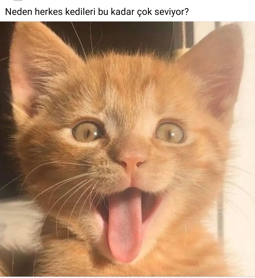 Uğur
