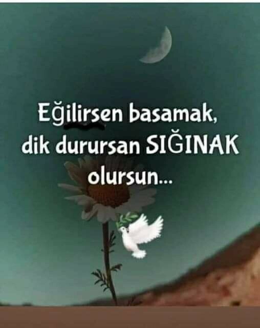 Melek