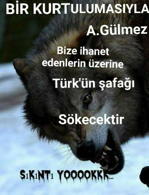 Aysun