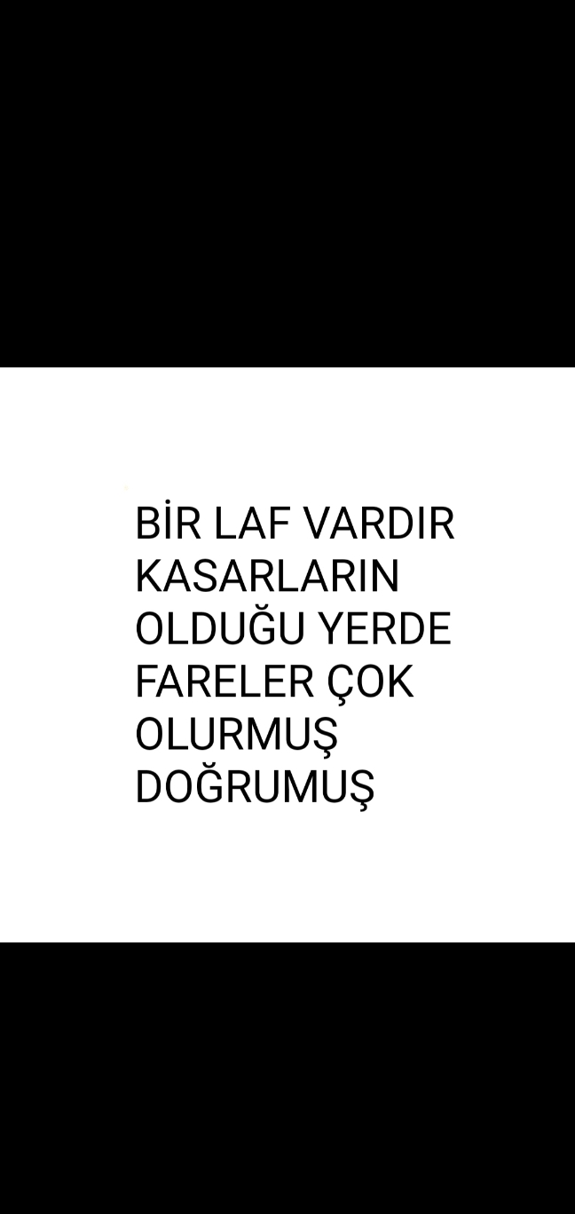 Selin