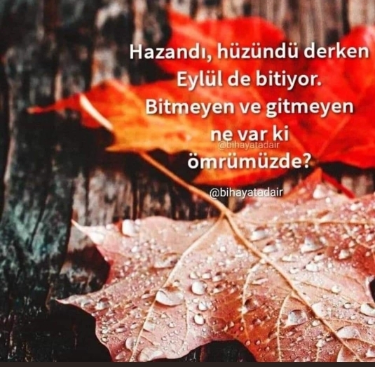 Nurcan