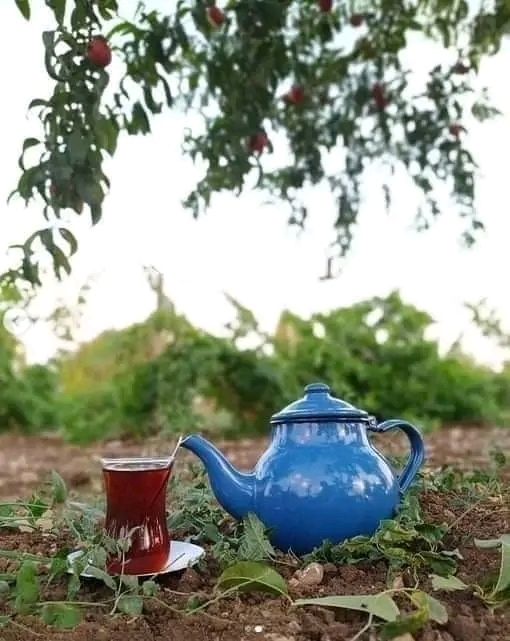 Uğur