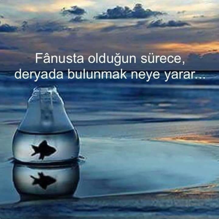 Erdem