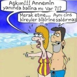 Serdar