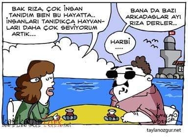 Serdar