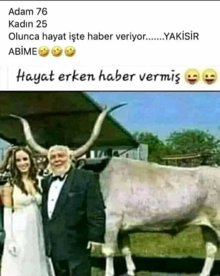 Melek