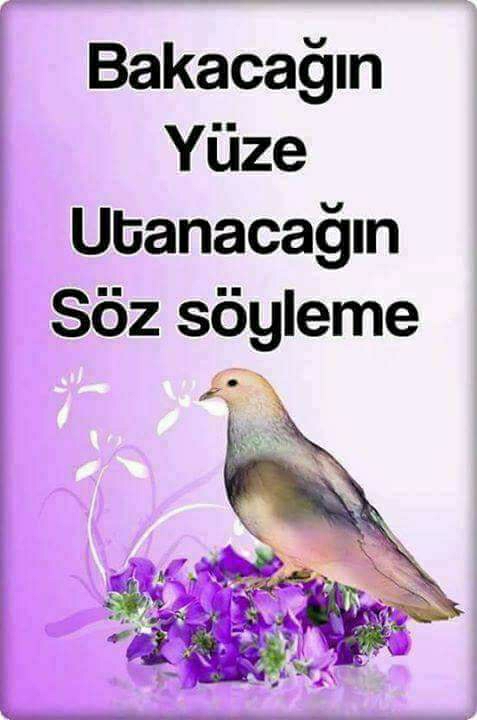 Dudu