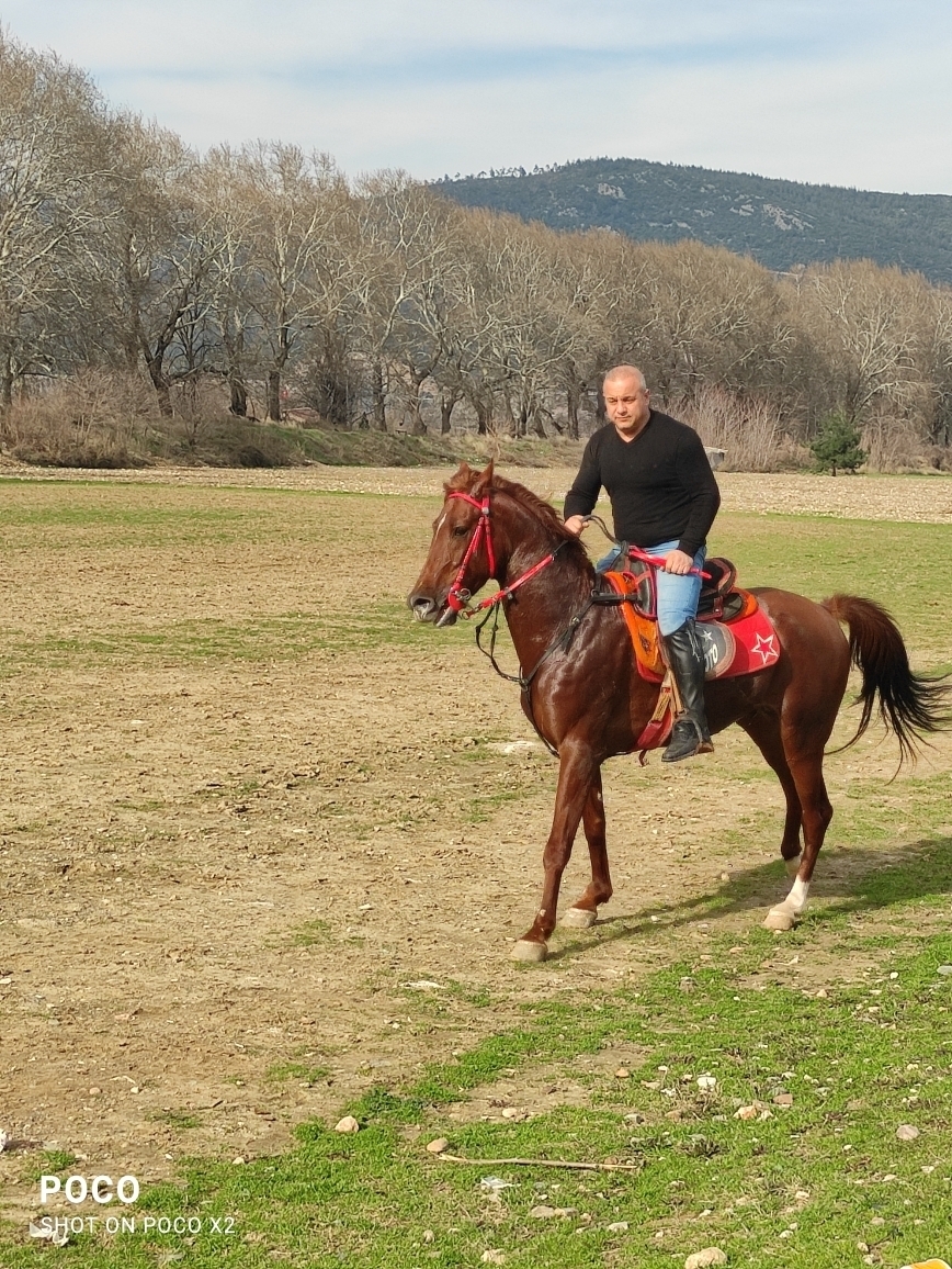Murat