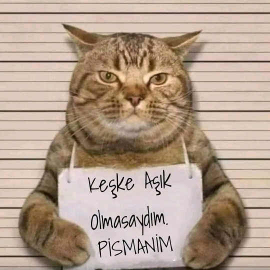 Uğur