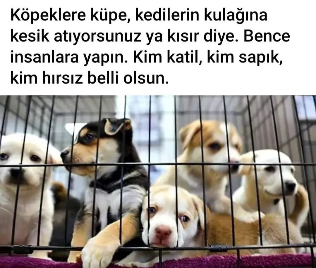 Serap